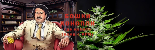 PSILOCYBIN Осинники
