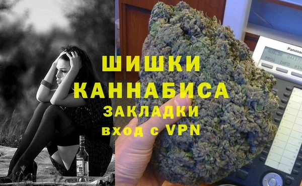 ГАЛЛЮЦИНОГЕННЫЕ ГРИБЫ Бронницы