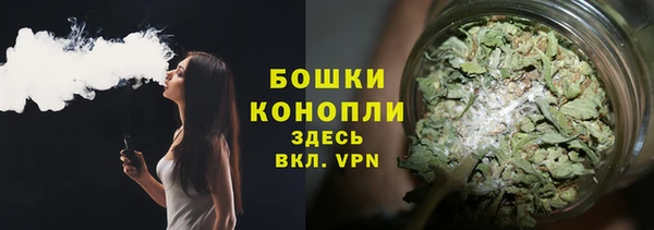 PSILOCYBIN Осинники