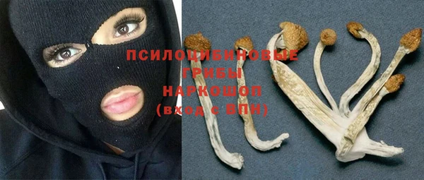 PSILOCYBIN Осинники