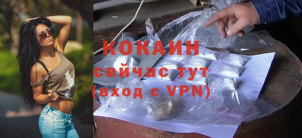 дживик Весьегонск