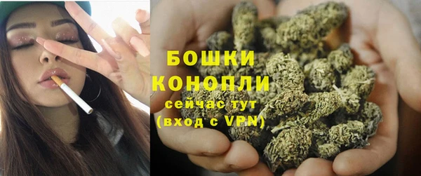 PSILOCYBIN Осинники