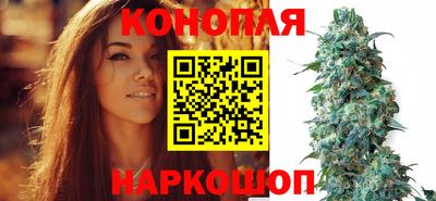 крисы Волжский