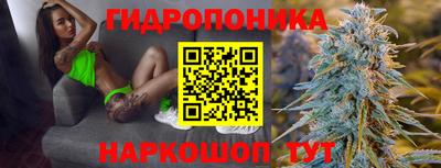 крисы Волжский