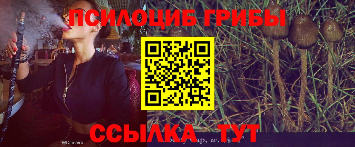 Псилоцибиновые грибы ЛСД Советский