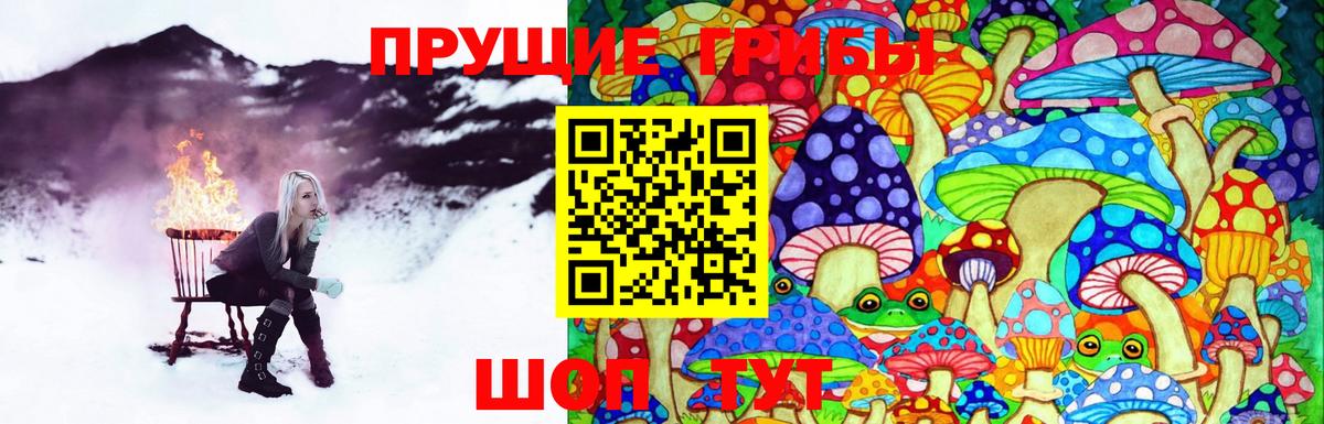 цены   Вход с VPN  Советский  Галлюциногенные грибы мухоморы 