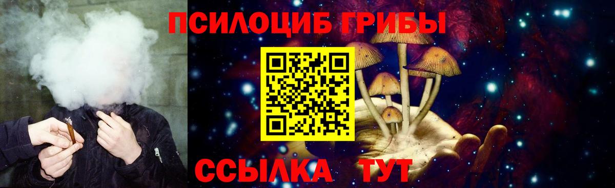 Псилоцибиновые грибы прущие грибы  Советский 